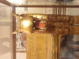Lupo Egitto 155